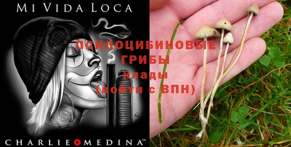 кокаин Алексеевка