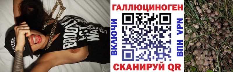 Галлюциногенные грибы MAGIC MUSHROOMS  Купить где  Среднеколымск 